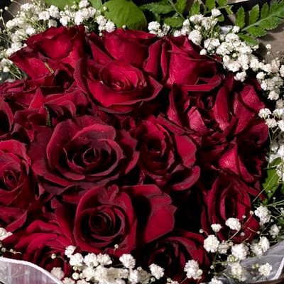 Tauqeer15719396's profile picture. Care