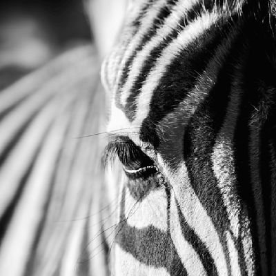 cj3falcons's profile picture. 