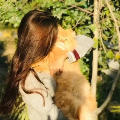 Zayneb_Zeb's profile picture. 👩‍🎨🥻👩🏻‍💻🤖