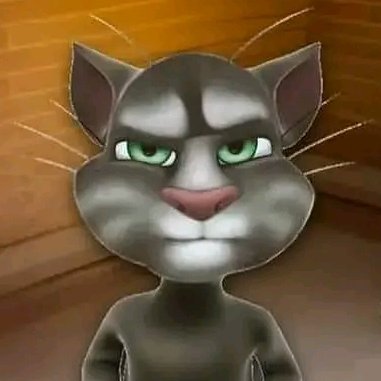 Hadi1833's profile picture. Registered Dentist