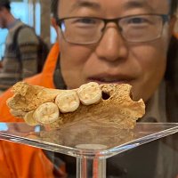 Christopher J. Bae (@paleobae) 's Twitter Profile Photo Christopher J. Bae (@paleobae) 's Twitter Profile Photo