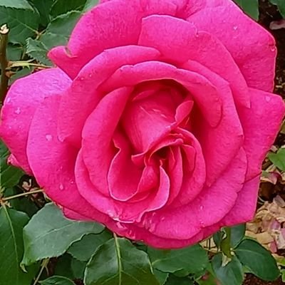 今の思いを呟いています✨
音楽大好き🎹🎵高校野球好き
もの作り好き 花好き
最近は駅伝も好き
お城🏯巡り(^^)2024.10~体調不良、治療中