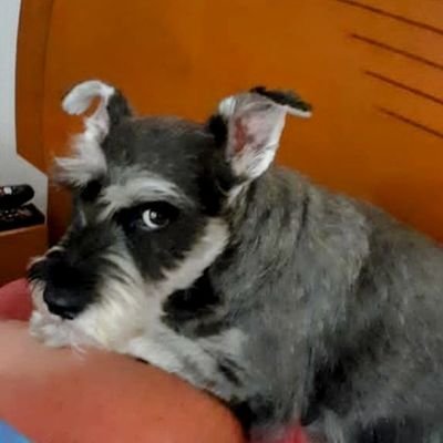 valor para cambiar lo que puedo, serenidad para aceptar lo que no pudo........ y sabiduría para reconocer la diferencia!!!