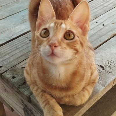 jenniferTV98657's profile picture. 