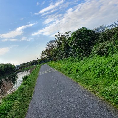 VazeSzn's profile picture. 