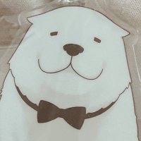 りん✩︎⡱【固ツイ必読】 (@bonrin48) 's Twitter Profile