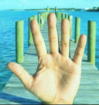 perudirector's profile picture. Director de cine y publicidad en @cine70films hace mucho. Científico conductual hace poco. Me gusta filmar buenas ideas y predecir comportamiento.