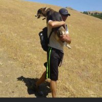 Manuel chdo. (@manuelm43383171) 's Twitter Profile