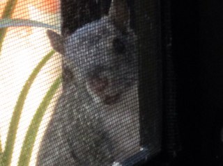 gerenciacolonos's profile picture. 