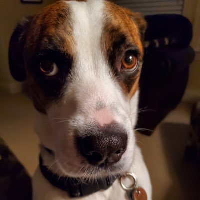 FlaviusKern's profile picture. Grew up in STL - Go Cardinals & Blues! ❤️ Jesus, my Wife & Kids. Rush fan - Charlotte area since 2014. I support the 2A & the IDF