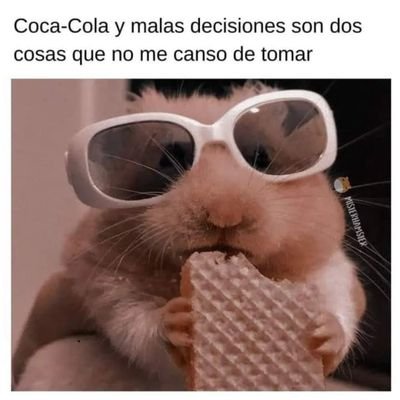 aronlopez1602's profile picture. 