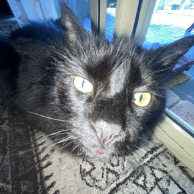 picklocksX's profile picture. 