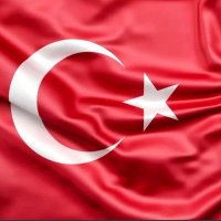 Temel Reyis (@temelreyis1) 's Twitter Profile