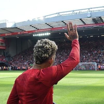 virg_trent's profile picture. @mipaltan
@lfc