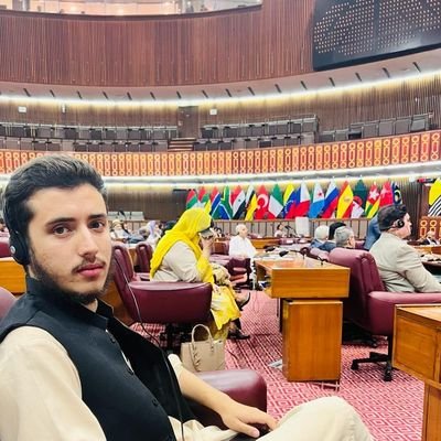 Software Engineering Student | Passionate About Cyber security & Technology | Real Madrid Fan | International islamic university Islamabad
