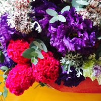 Chako_M (@chakom2016483) 's Twitter Profile
