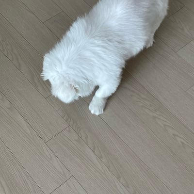 cjswoek2020's profile picture. 