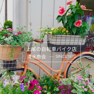 shimizu_bike Profile Picture