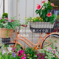 上尾の自転車バイク店　清水商会(@shimizu_bike) 's Twitter Profile Photo