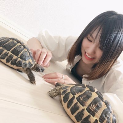 @kankitukou