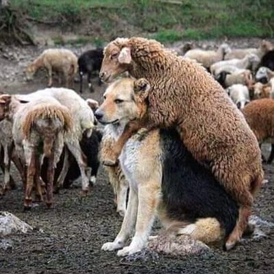 ra88832107's profile picture. Great