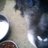 caju0417's profile image
