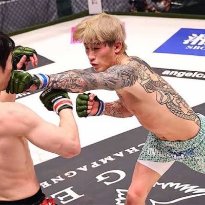 ボクシング&MMA