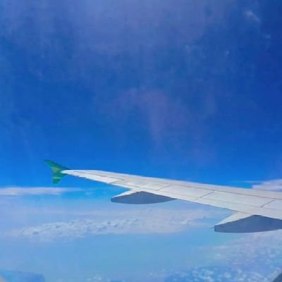 Parlins54075895's profile picture. 