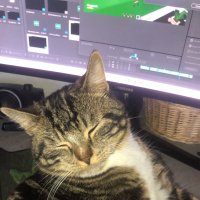 PinkCoffee (@xpinkcoffee) 's Twitter Profile