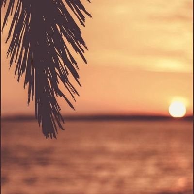 AskenOuedraogo's profile picture. Je suis un gestionnaire de l'environnement et du Développement durable