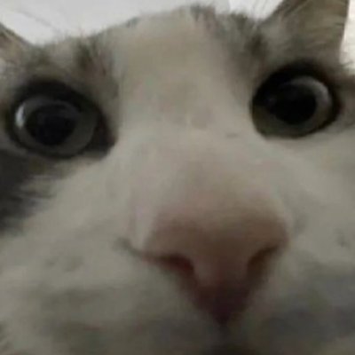 Olek_Roblox's profile picture. yo