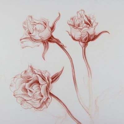 thevintageblues's profile picture. diary of a young girl.