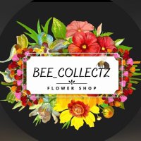 Flower Shop(@Bee__collectz) 's Twitter Profile Photo