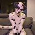 Foxdog with spots (@sneakspup) Twitter profile photo Foxdog with spots (@sneakspup) Twitter profile photo