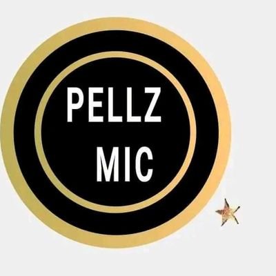 PELUMONEY1's profile picture. Musician/band