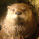 William Sauve - @WilliamSauve1 - Twitter