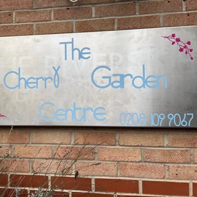 managing Director of The Cherry Garden Centre a place for people with disabilities to come and learn independence skills & have fun in a safe space.