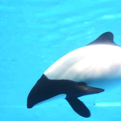 johe_2025's profile picture. データ利活用/ SIer