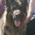 Tracey Inglis (@traceyingl19853) Twitter profile photo Tracey Inglis (@traceyingl19853) Twitter profile photo