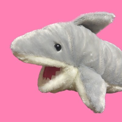 easyai358's profile picture. 【AIこわくないよ】ChatGPTをはじめとしたAIツールの使い方 |今のAIにできること、できないことetcをツイートするサメ | ビジネス系や、私生活へのAI利用をメインに紹介 | 初心者にもわかりやすく情報共有します | 噛まないので、仲良くしてください🦈