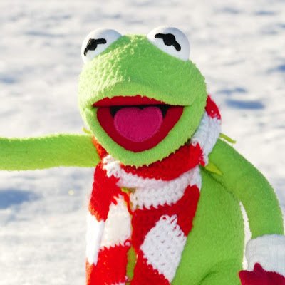 AnnemarieKermit's profile picture. 