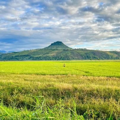 Bitwise1986's profile picture. 