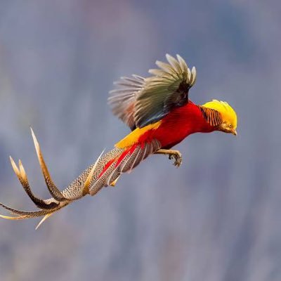 Salman7Baloch's profile picture. Salman