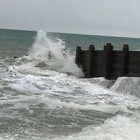 Sue M (@suemerrell5) 's Twitter Profile