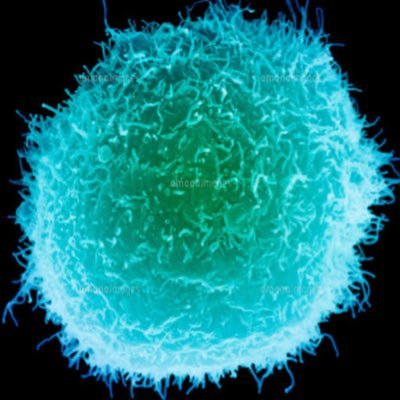 wRInH6pcN6TWWVV's profile picture.