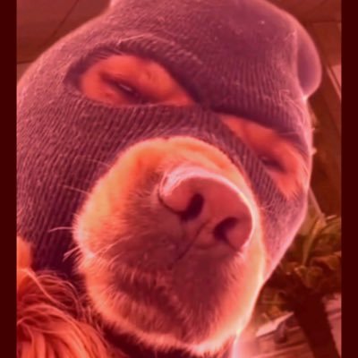 BasheToKhubi's profile picture. با ادب-باشعور-بانزاکت-خرس ساواک-رئیس مجمع جنبش عدم تعقل-غیرفعال سیاسی-عضو حزب فاویسم-نوب سگ کمپر-مطلقه ایران اینترنشنال-مجهزبه دستگاه مستعان و آنفالویاب- IMDb