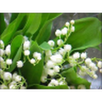 mir710310's profile picture. 🌊