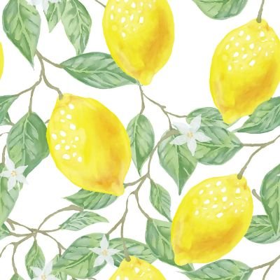 🌿필룸🍋さんのプロフィール画像