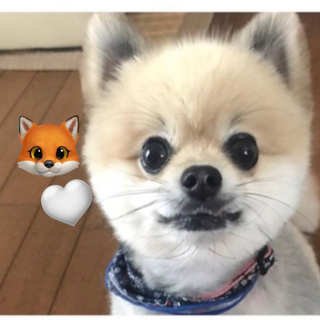 m__mm_mk's profile picture. 