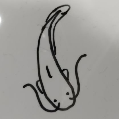 pebble_robocon0's profile picture. 東北大 M1 ← 豊橋技科大 / ABURobocon2023🏆 制御班長,ER